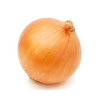 Onion (32)-1279881-37364.webp